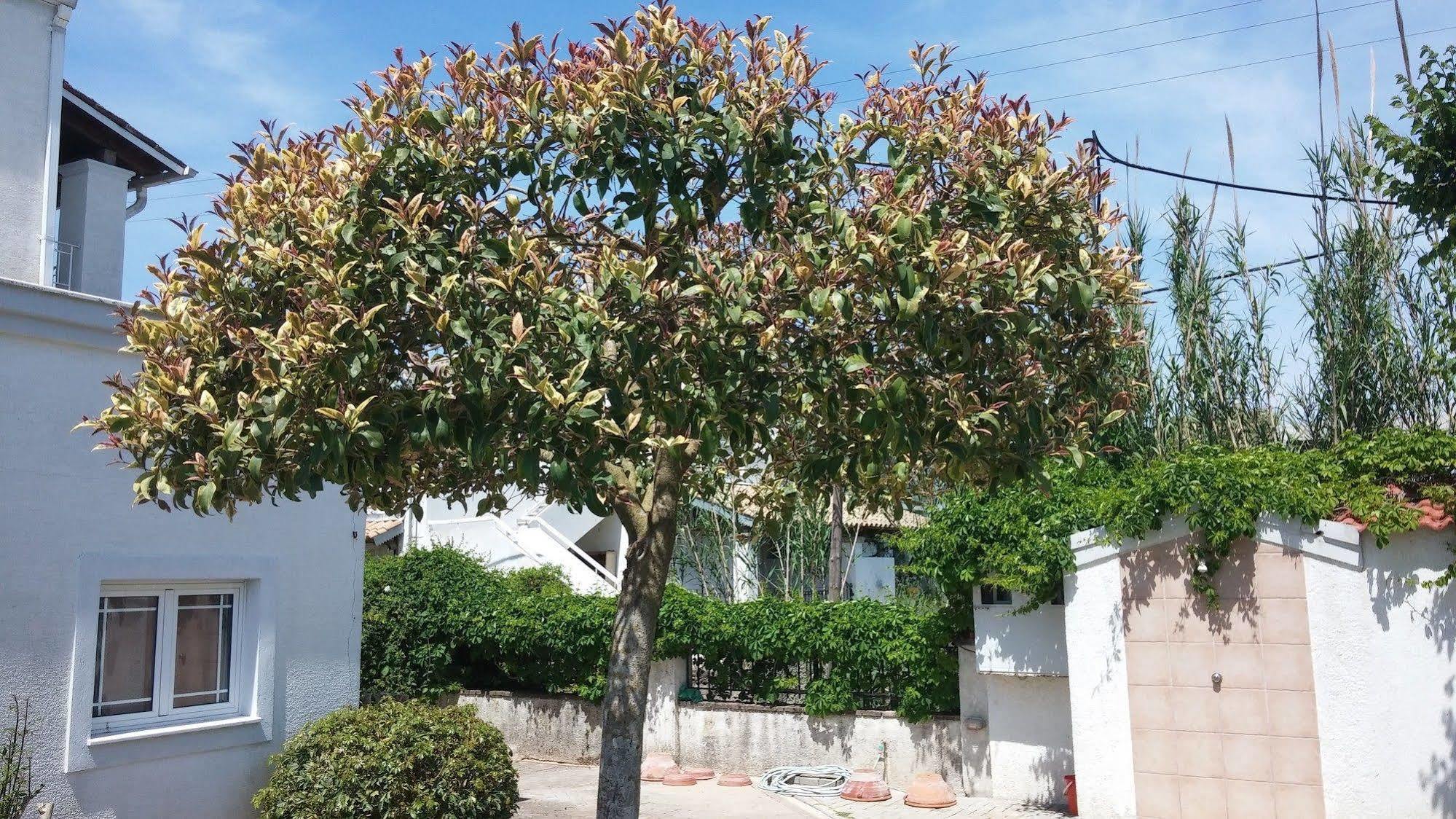 Corfu Anastasia Kontokali Exterior photo